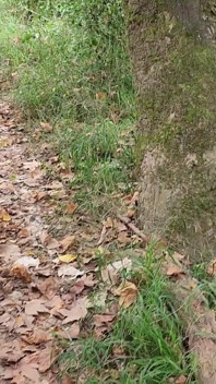 Exhib Nature bertukar menjadi seks bertiga panas