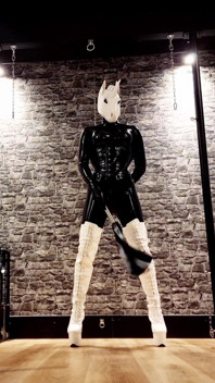 Dominatrix Unicorn
