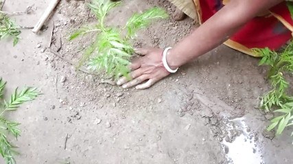 Dogrupali69: Audio en hindi, une bhabhi sexy se fait baiser
