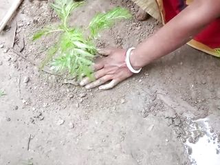 Dogrupali69: Hindský audio žhavý bhabhi sex