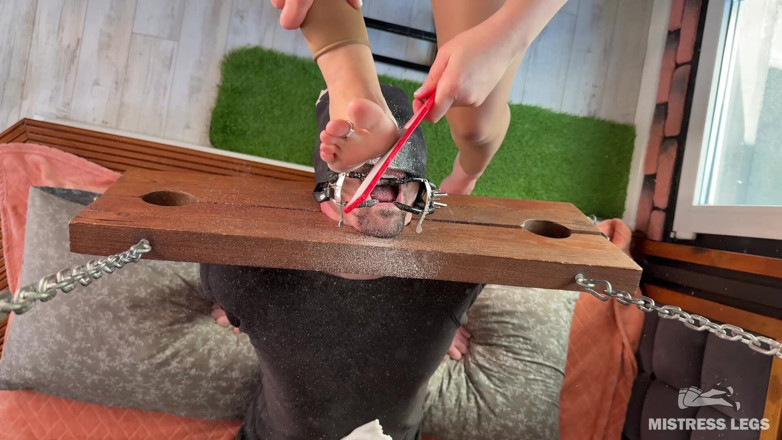 Mistress Legs: Foot Dust Feast Pedicure Scrapings Straight Into Slave's Mouth