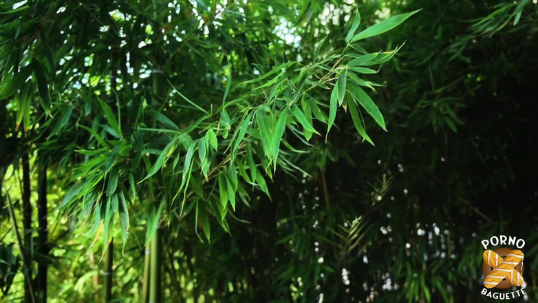 Porno Baguette: Pam bella bionda viene scopata davvero duramente