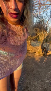 TS Stripper in the Desert