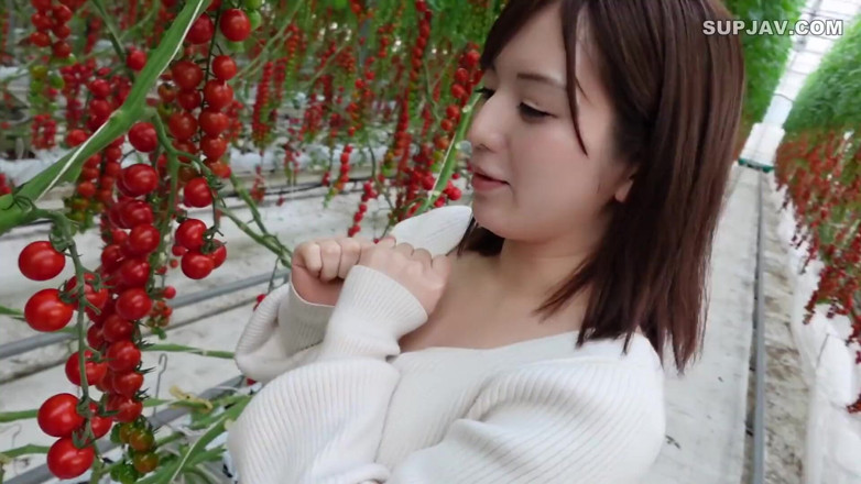 Studio Modern Shunga - JAV: Asian angel 7402