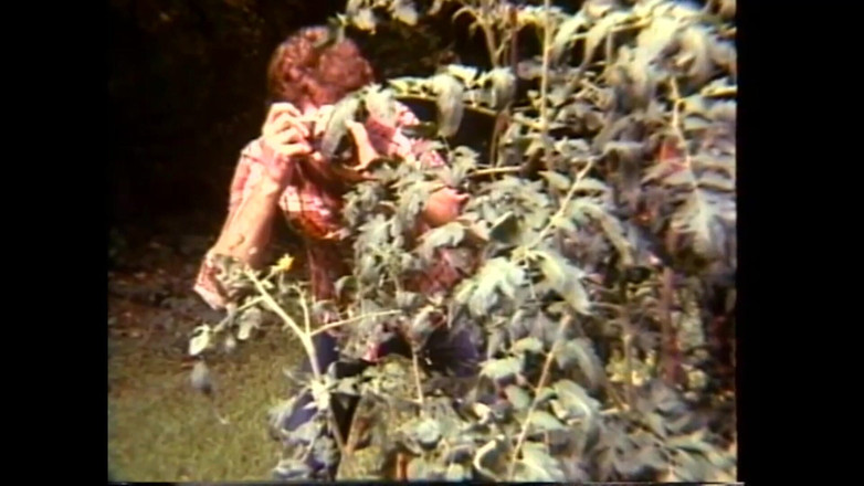 Vintage Megastore Full hd: Arcadia Lake Und Eric Edwards Einander