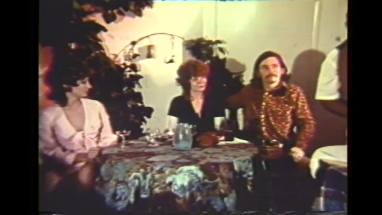 Vintage Usa: The Condominium of the Hairy Pussy Nympho Prostitutes (full Movie)