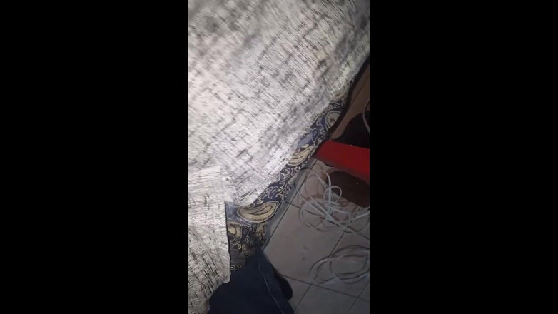 Eatrella j: 따먹기