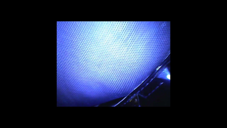 Fetish Bear Productions: Speculum &amp; Microcamera for Lady Soniac