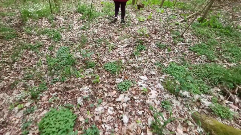 Bouncy Tits Action: Vagin și lovituri de țâțe în aer liber