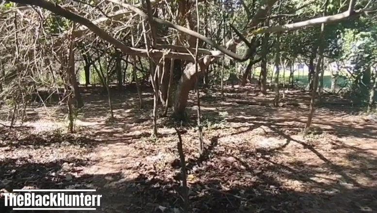 TheBlacKHunterr: Мой коллега в парке