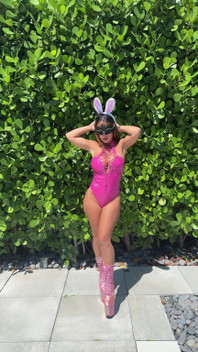 Pink Bunny