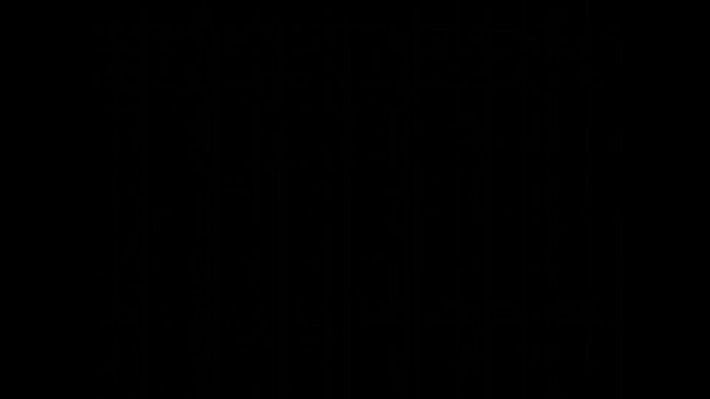 The Africans: Bugün için sikini tutuyorum