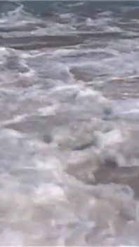 Video seksi: Calia B Sea
