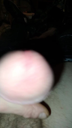 Oslijo: Close up
