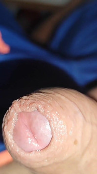 Big Veiny Cock Almost Exploding with Lust.