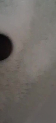 Bugün banyo günü