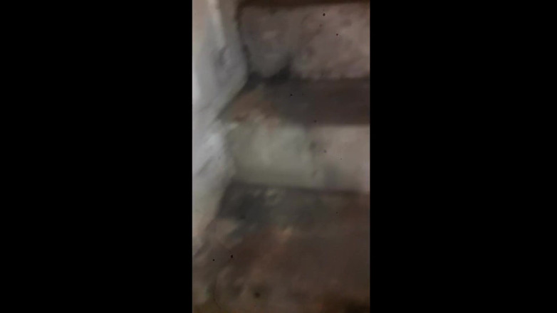 Tina Baby: Madrasta encontrou meu pornô no meu computador