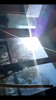 ¿Vienes a tomar el sol conmigo?