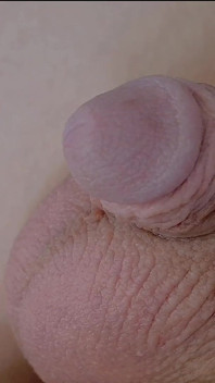 How Old Is That Cock Lol?!