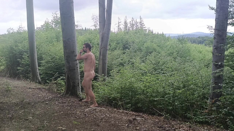 kickerscooter: Серед букових дерев: груба виставка на голому дереві