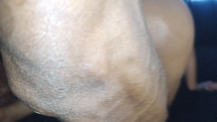 PABLO N3GROBAR: Pantat bahenol si cewek super semok ini dientot habis-habisan sampai...