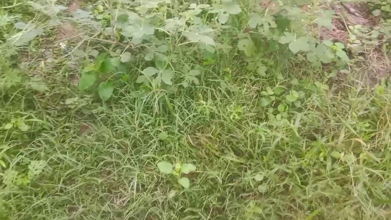 Priyanka314: Vợ Tamil với hasband làm tình ngoài trời