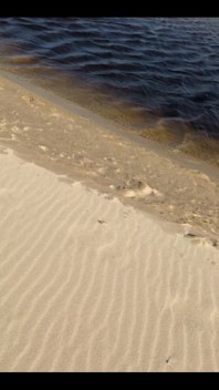 Beach Walk