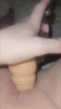 2つのディルドが私の膣に入っている