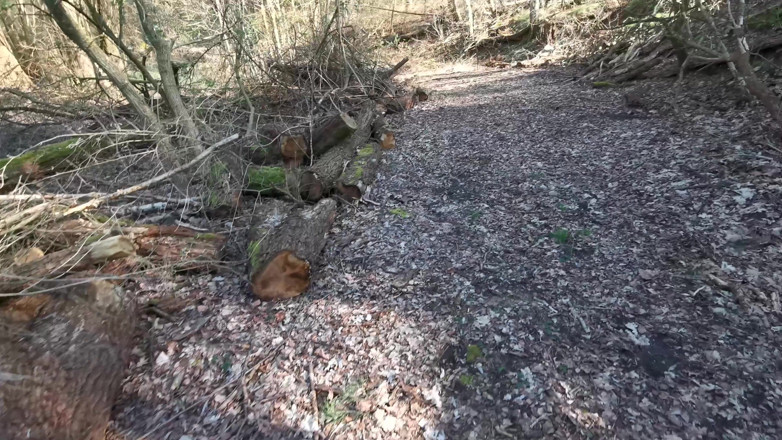 Bouncy Tits Action: Nalgadas de coño desnudo en el bosque