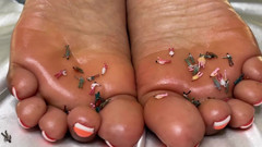 Pink Foxx: Coccola post-pedicure