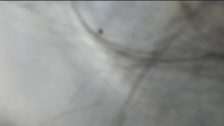 LiliBralee: Naken Sex Dansar Hårt