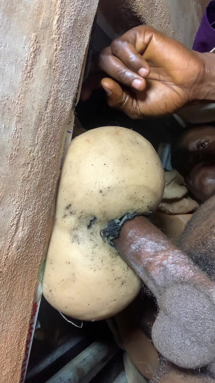 Bangcum8: Biarin aku ngentot memek semok ini habis-habisan sama tetanggaku waktu...