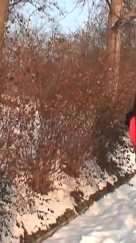 Teşhirciler yoldan geçenlerin önünde karda seks yapıyor