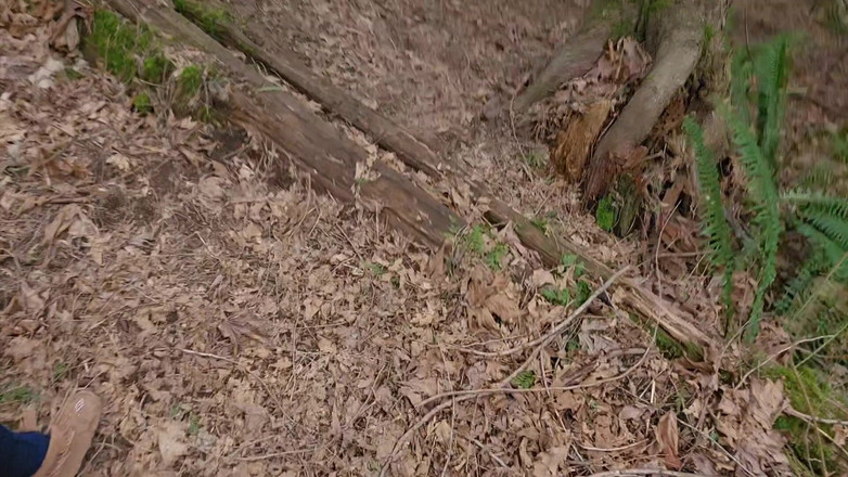 Nerdy_faery: 실내 오줌, 야외 오줌