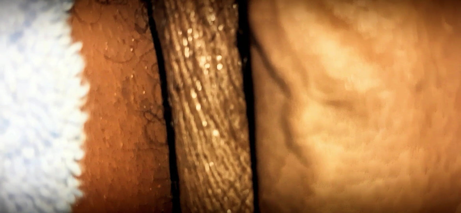Chocolate Meat Stick: Cận cảnh chuyển động chậm bbc nhẹ nhàng