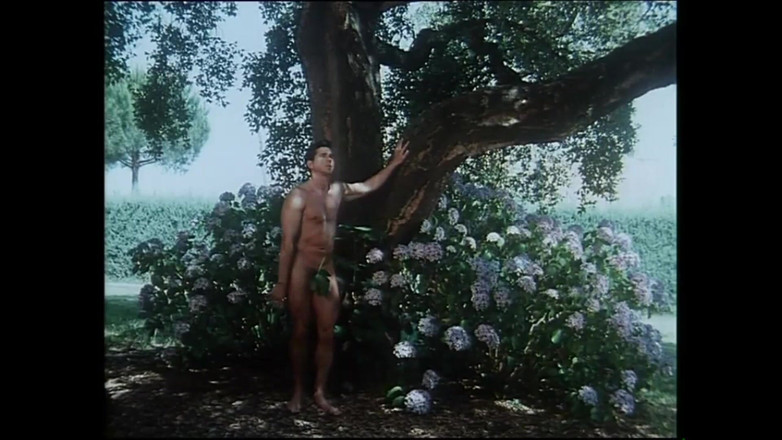 FM Video VOD: Les Amours Folles De Luana Borgia - (original Film Complet Non Coupé)