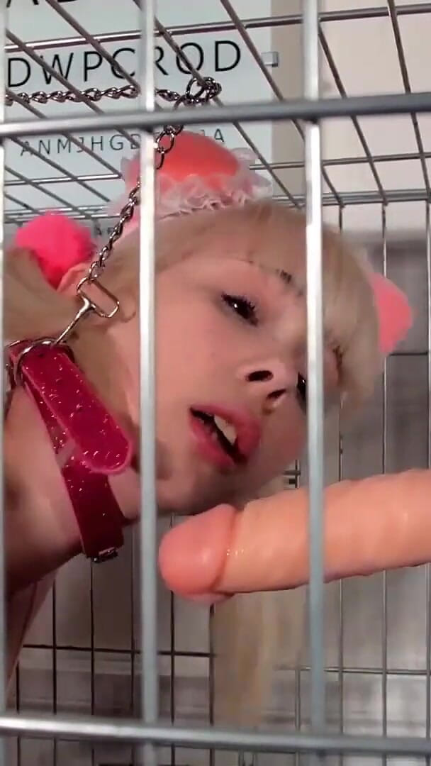 Petgirl Cherry Caged (Cherry English) Petgirl Cherry Caged (Cherry English)