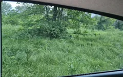 Um caminhoneiro aleatório fode em um carro com o papai para gozar!