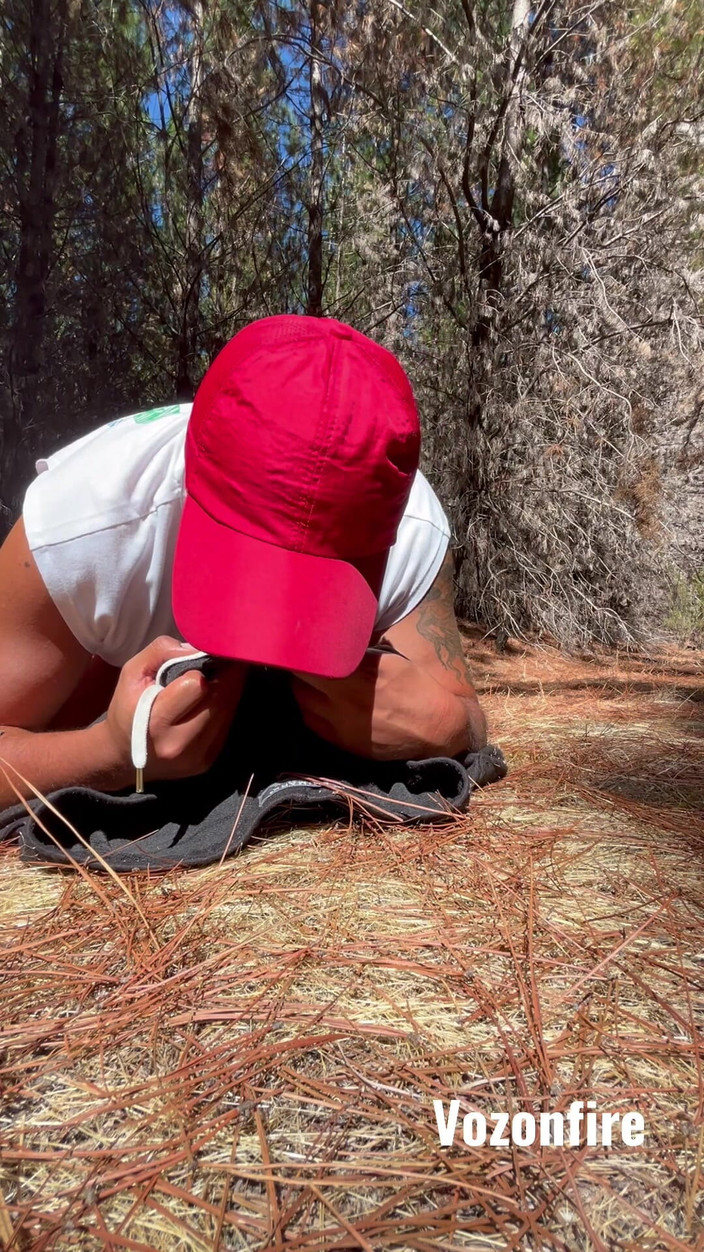 Hardnoisex: Точка зрения в Тайном лесу в одиночестве