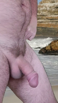 Beach Cock