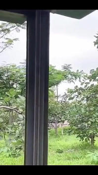 户外的