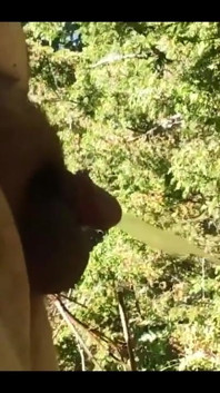 Taste My Piss