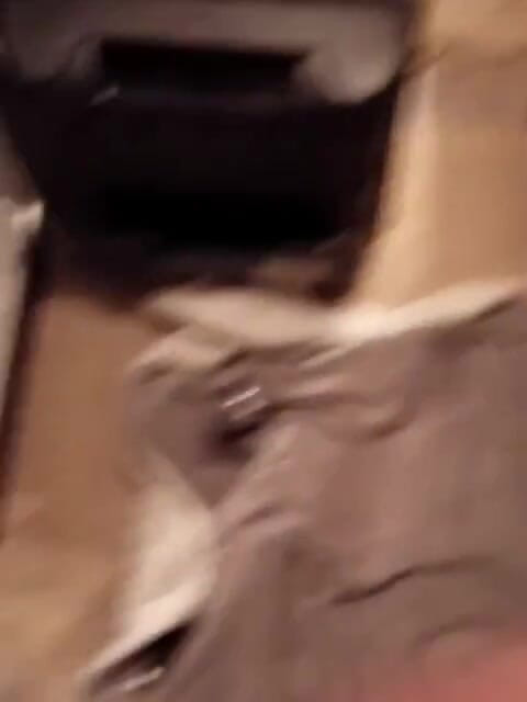 Richard Sak: Mr.hankeys Toys Geoff