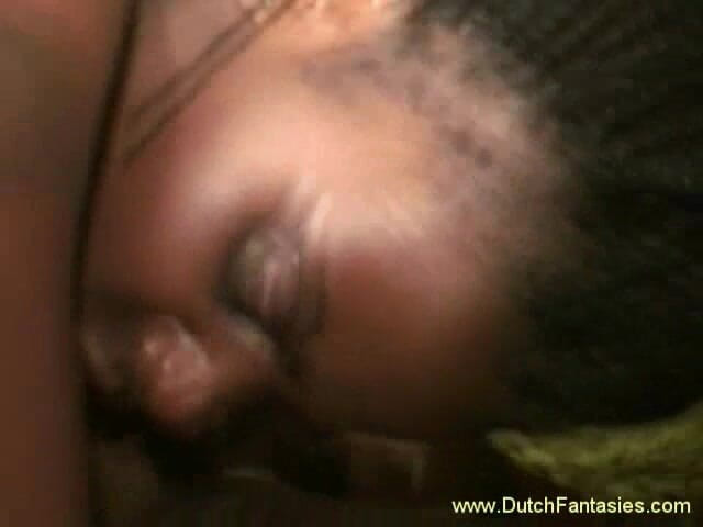 Dutch Fantasies: Fantasías holandesas: fantasía holandesa # 146