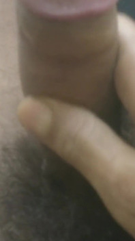 Rosa Vermelha