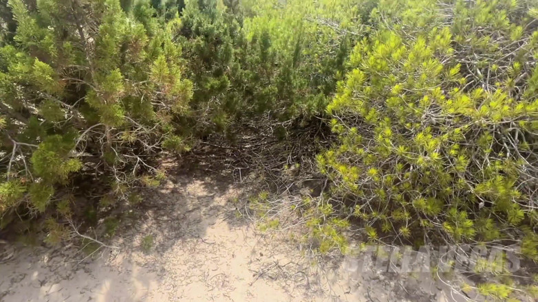 Stella Vegas: Fuck in Formentera