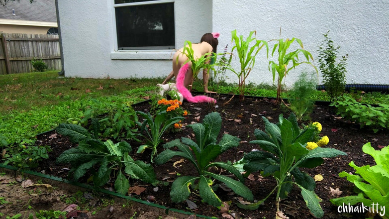 kactus kutie: Kitty Kums im Kale