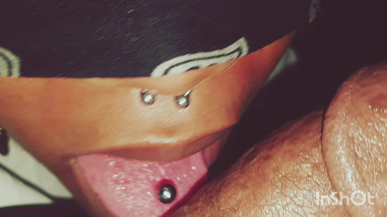 The Nasty House: Chậm tôn thờ con cu bao gồm