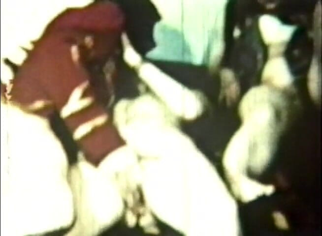 The Vintage Era: True Vintage porn 3
