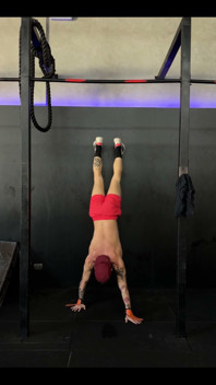 Gym Exercises